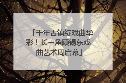 千年古镇绽戏曲华彩！长三角顾锡东戏曲艺术周启幕
