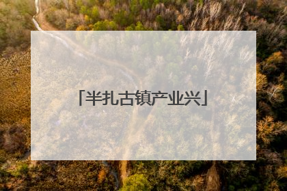 半扎古镇产业兴