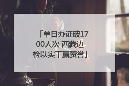 单日办证破1700人次 西藏边检以实干赢赞誉