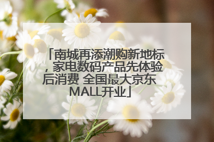 南城再添潮购新地标，家电数码产品先体验后消费 全国最大京东MALL开业