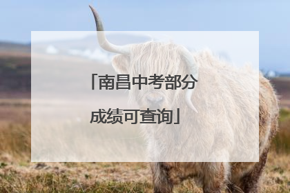 南昌中考部分成绩可查询
