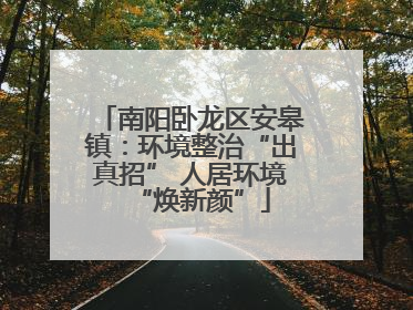 南阳卧龙区安皋镇：环境整治“出真招” 人居环境“焕新颜”