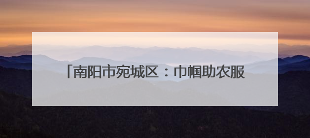 南阳市宛城区：巾帼助农服务队 “三夏”一线绽芳华