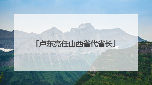 卢东亮任山西省代省长