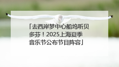 去西岸梦中心船坞听贝多芬！2025上海夏季音乐节公布节目阵容