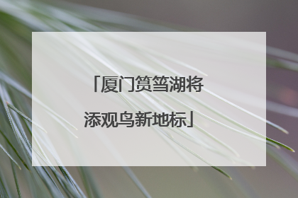 厦门筼筜湖将添观鸟新地标