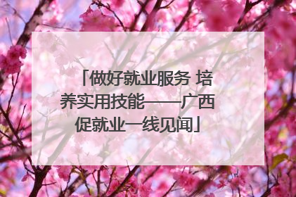 做好就业服务 培养实用技能——广西促就业一线见闻