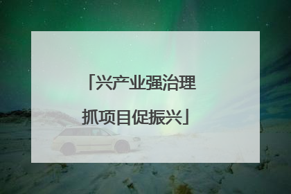 兴产业强治理 抓项目促振兴