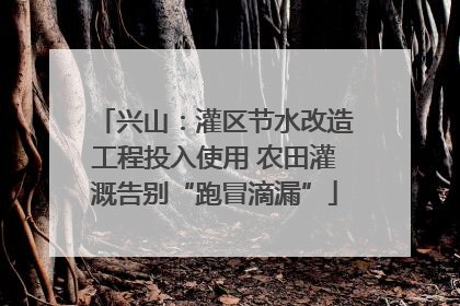 兴山：灌区节水改造工程投入使用 农田灌溉告别“跑冒滴漏”