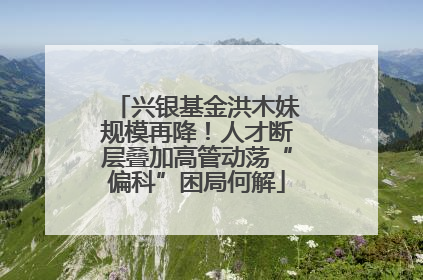 兴银基金洪木妹规模再降！人才断层叠加高管动荡“偏科”困局何解