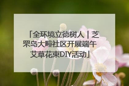 全环境立德树人｜芝罘岛大疃社区开展端午艾草花束DIY活动