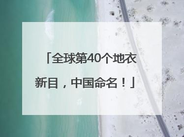 全球第40个地衣新目，中国命名！
