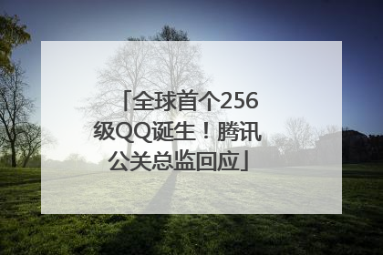 全球首个256级QQ诞生！腾讯公关总监回应