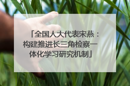 全国人大代表宋燕：构建推进长三角检察一体化学习研究机制