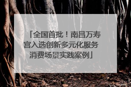 全国首批！南昌万寿宫入选创新多元化服务消费场景实践案例