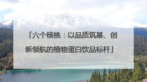 六个核桃：以品质筑基、创新领航的植物蛋白饮品标杆