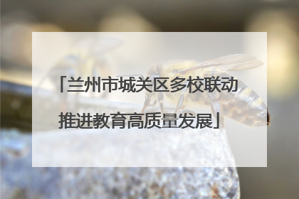 兰州市城关区多校联动推进教育高质量发展