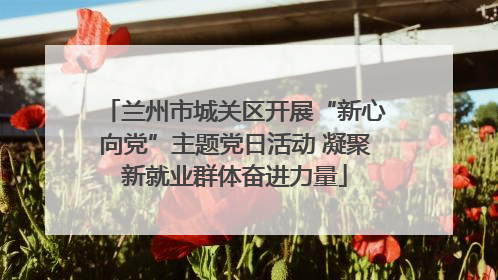 兰州市城关区开展“新心向党”主题党日活动 凝聚新就业群体奋进力量