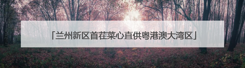 兰州新区首茬菜心直供粤港澳大湾区