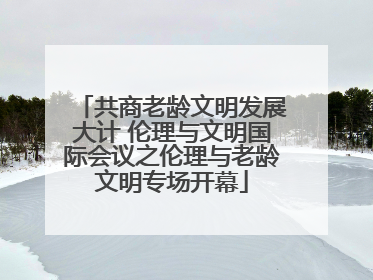 共商老龄文明发展大计 伦理与文明国际会议之伦理与老龄文明专场开幕