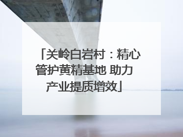 关岭白岩村：精心管护黄精基地 助力产业提质增效