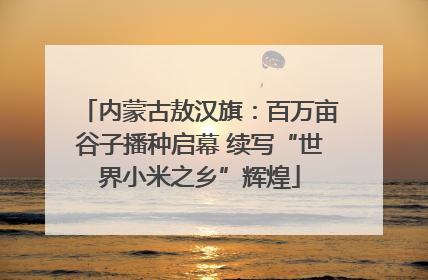 内蒙古敖汉旗：百万亩谷子播种启幕 续写“世界小米之乡”辉煌