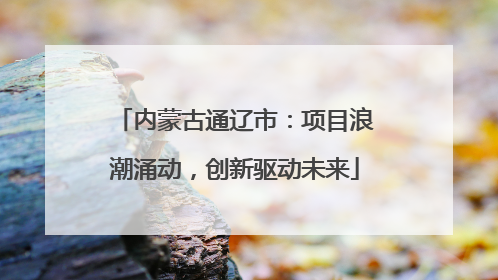 内蒙古通辽市：项目浪潮涌动，创新驱动未来