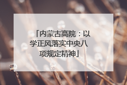 内蒙古高院：以学正风落实中央八项规定精神