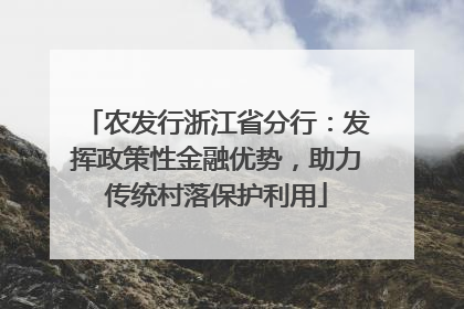 农发行浙江省分行：发挥政策性金融优势，助力传统村落保护利用