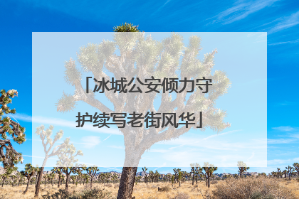 冰城公安倾力守护续写老街风华