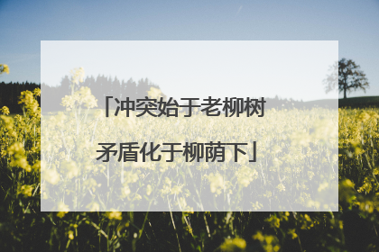冲突始于老柳树 矛盾化于柳荫下