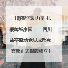 凝聚流动力量 扎根蓉城家园——四川盐亭流动党员成都党支部正式揭牌成立