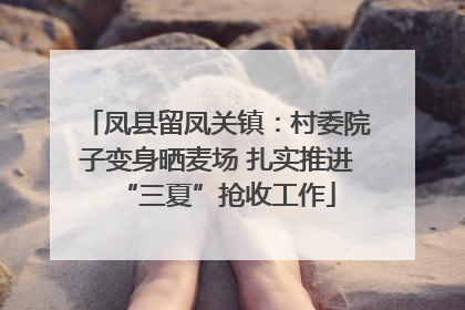 凤县留凤关镇：村委院子变身晒麦场 扎实推进“三夏”抢收工作