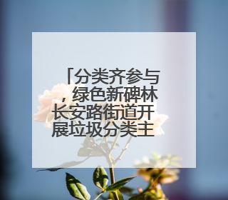 分类齐参与，绿色新碑林长安路街道开展垃圾分类主题宣传活动