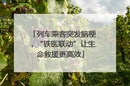 列车乘客突发脑梗，“铁医联动”让生命救援更高效