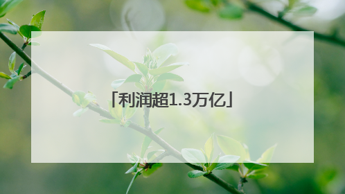 利润超1.3万亿
