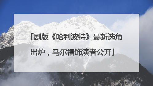 剧版《哈利波特》最新选角出炉，马尔福饰演者公开