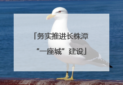 务实推进长株潭“一座城”建设