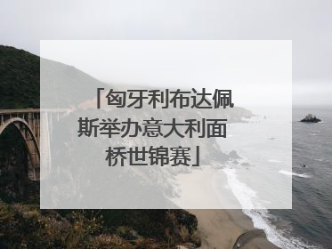 匈牙利布达佩斯举办意大利面桥世锦赛