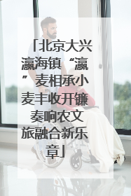 北京大兴瀛海镇“瀛”麦相承小麦丰收开镰 奏响农文旅融合新乐章