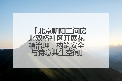 北京朝阳三间房北双桥社区开展花箱治理，构筑安全与诗意共生空间
