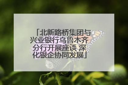 北新路桥集团与兴业银行乌鲁木齐分行开展座谈 深化银企协同发展