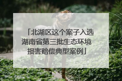 北湖区这个案子入选湖南省第三批生态环境损害赔偿典型案例