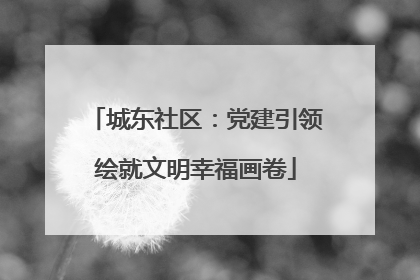 城东社区：党建引领绘就文明幸福画卷