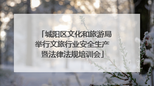 城阳区文化和旅游局举行文旅行业安全生产暨法律法规培训会