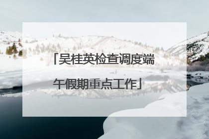 吴桂英检查调度端午假期重点工作