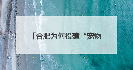 合肥为何投建“宠物友好城市”｜智库