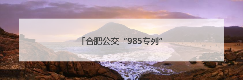合肥公交“985专列”为高考考生提供接送服务