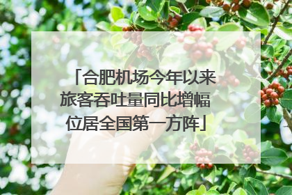 合肥机场今年以来旅客吞吐量同比增幅位居全国第一方阵