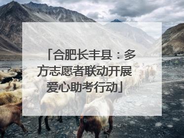 合肥长丰县：多方志愿者联动开展爱心助考行动